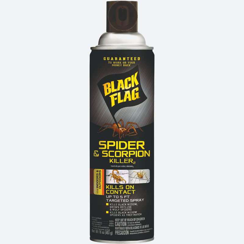 16 Oz., Black Flag® Spider & Scorpion Killer