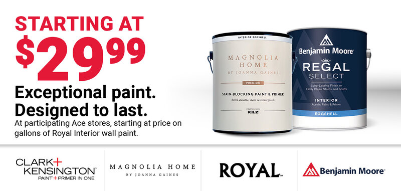 Paint Starting at $29.99