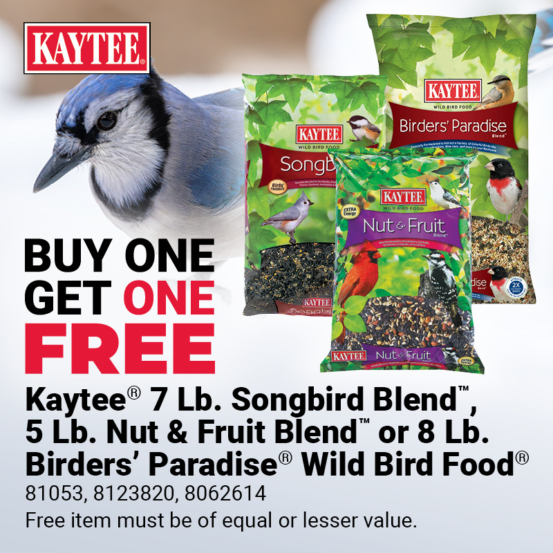 Kaytee Bird Seed