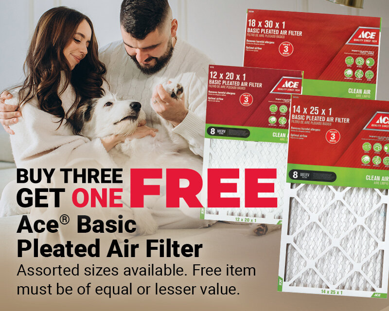 Buy 3 Get 1 FREE Select Ace® Air Filters