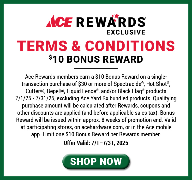 Terms & Conditions