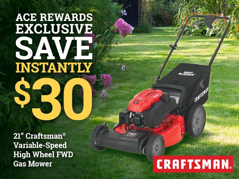 21" Craftsman® Variable-Speed Self-Propelled High Wheel FWD Gas Mower