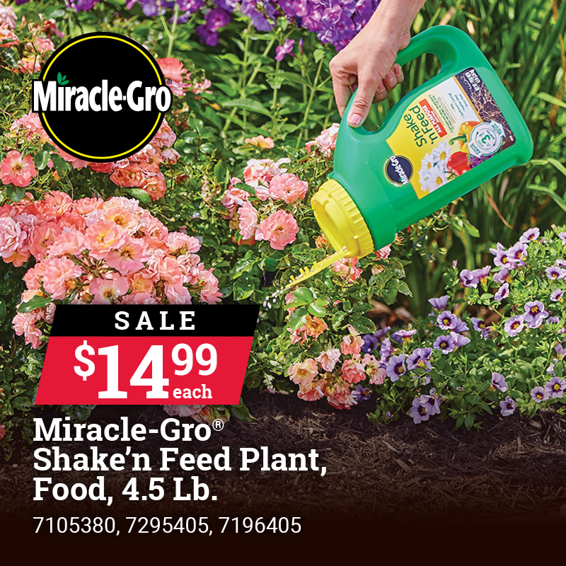 4.5 Lb. Miracle-Gro® Shake 'N Feed® All Purpose Plant Food