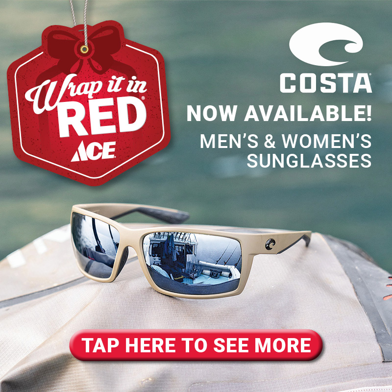Costa Sunglasses - Holiday
