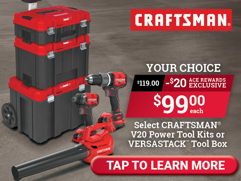 Select CRAFTSMAN® Products Under $100