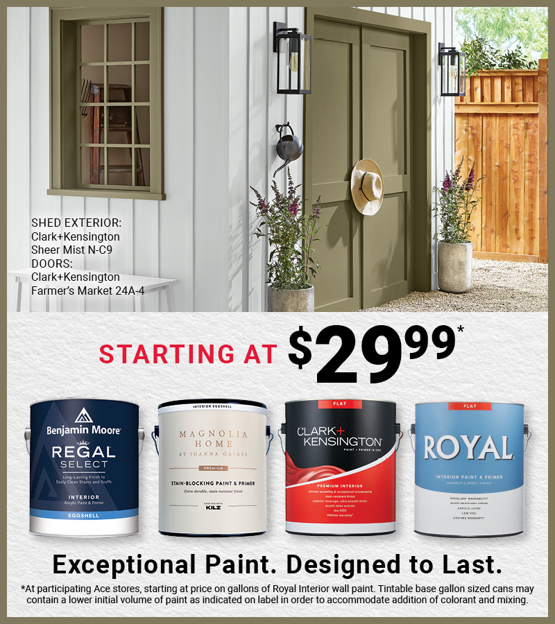 Paint Starting at $29.99