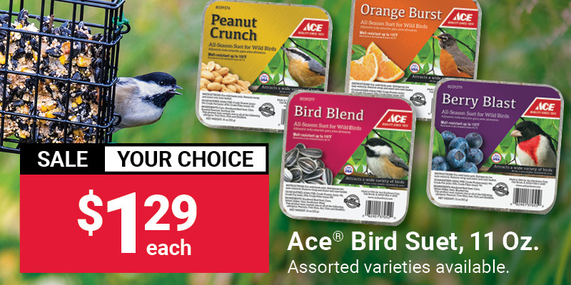 $1.29 Ace® Bird Suet, 11 Oz.