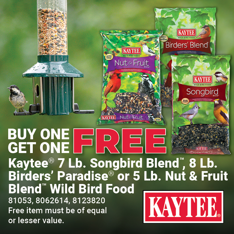 Buy One Get One Kaytee® Bird Seed