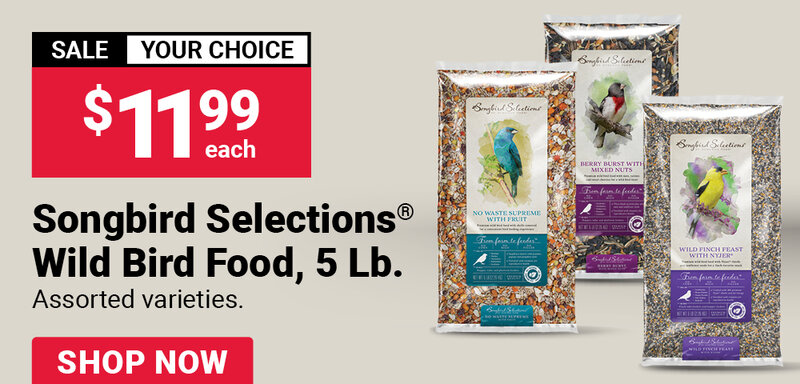 Songbird Selections® Wild Finch Feast with Nyjer Bird Food, 5 Lb.