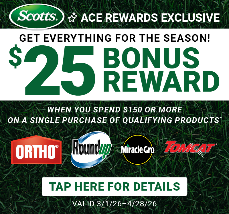 Ace Rewards Exclusive $25 Bonus Reward