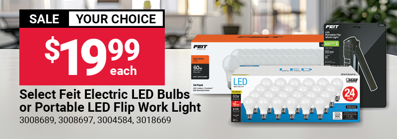 Feit LED Light Bulbs
