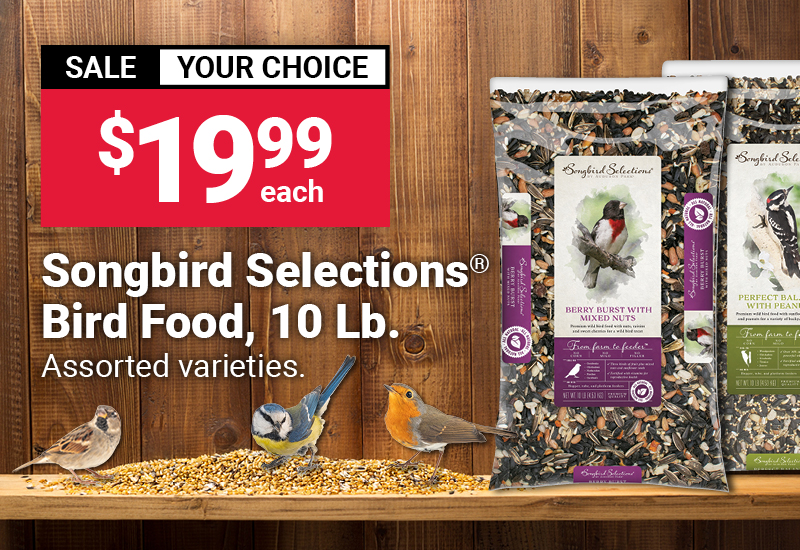 Songbird Selections® Bird Food, 10 Lb.
